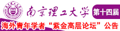 日逼好爽啊啊啊啊啊啊啊南京理工大学第十四届海外青年学者紫金论坛诚邀海内外英才！